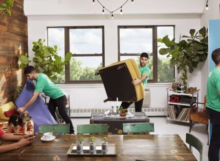 Minimalist Yaşam Rehberi